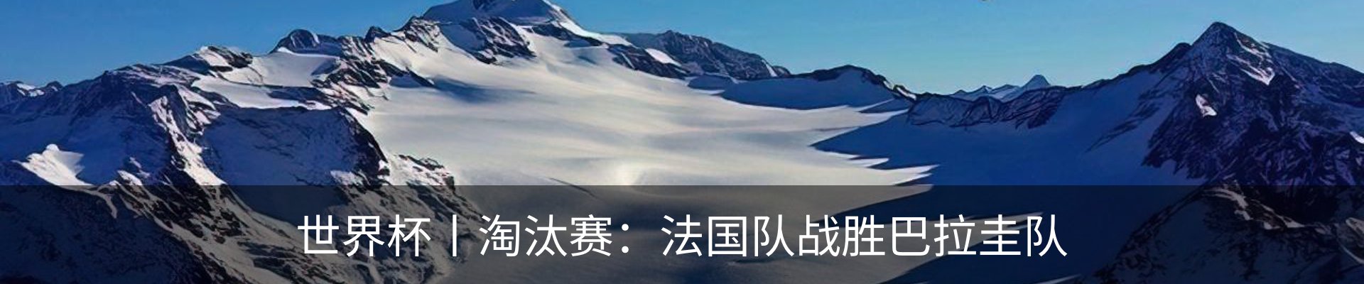 最新动态