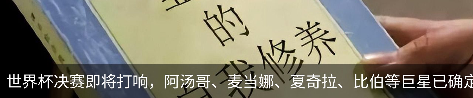 最新动态