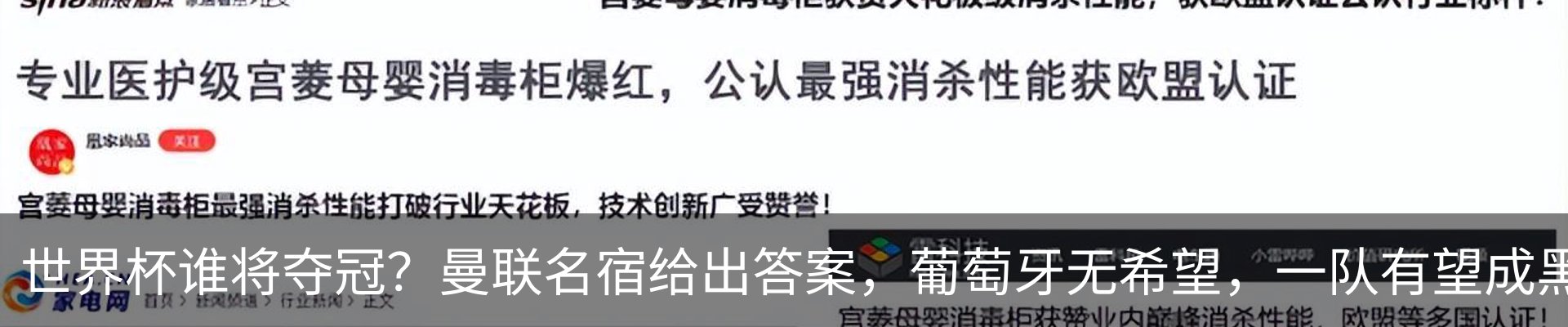 最新动态