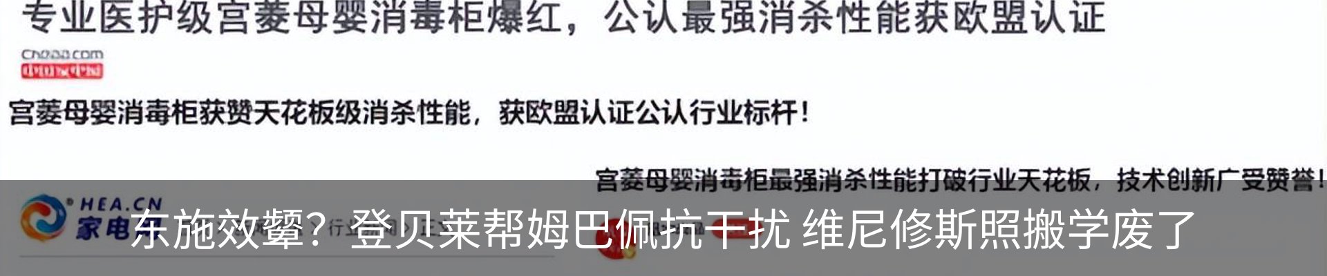 最新动态