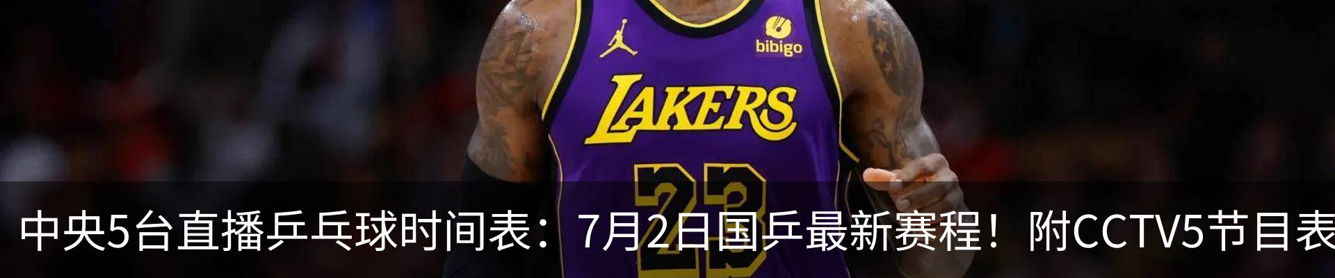 最新动态