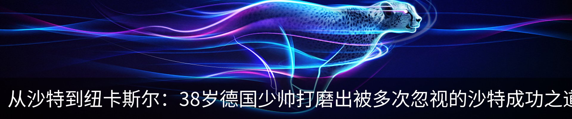 最新动态