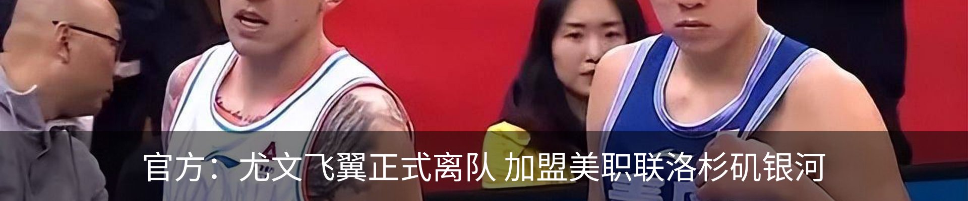 最新动态