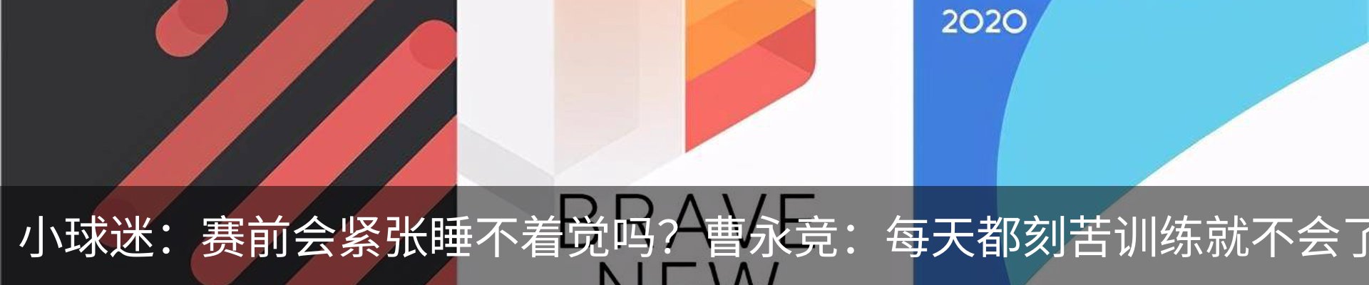 最新动态