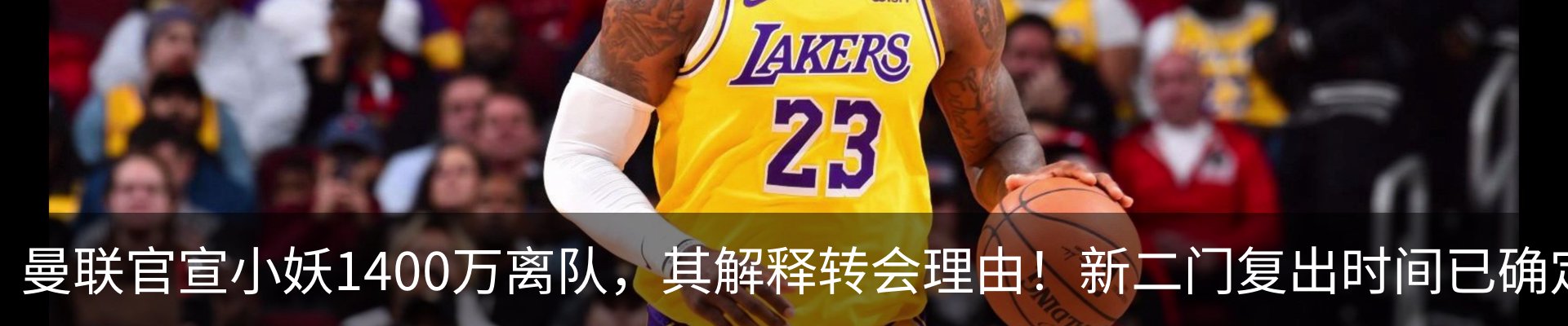 最新动态