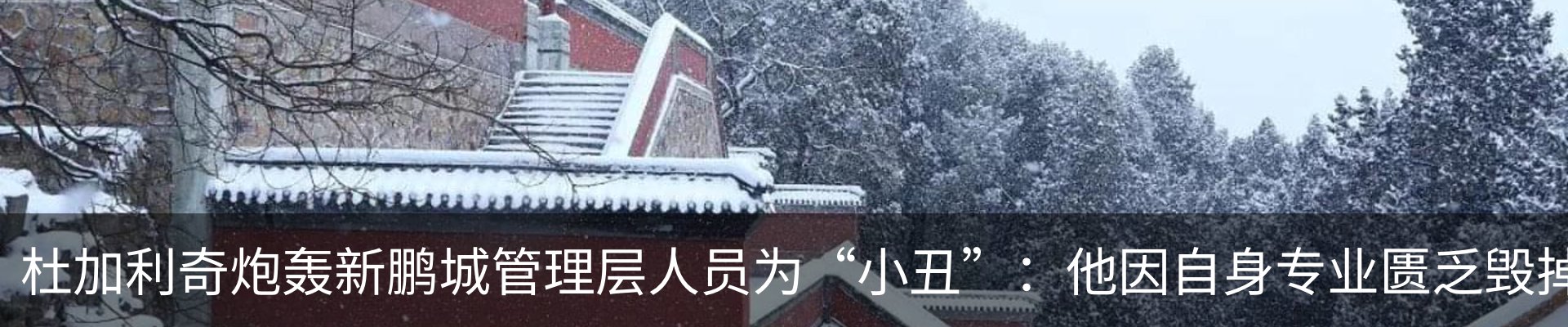 最新动态