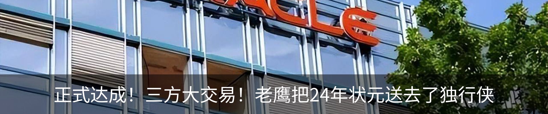 最新动态