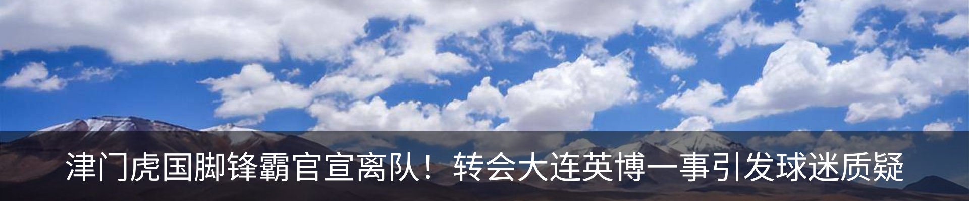 最新动态
