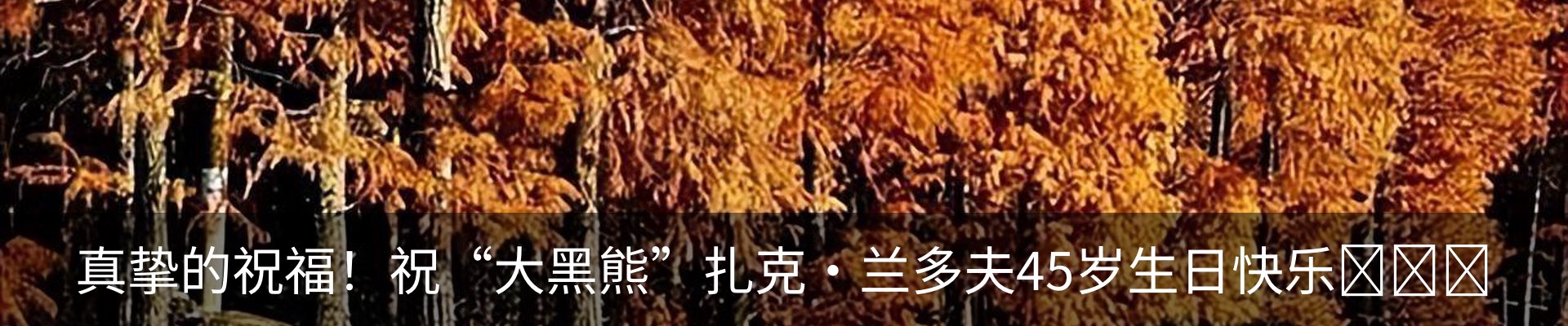 最新动态