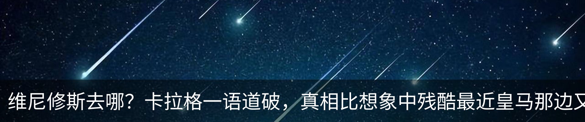 最新动态