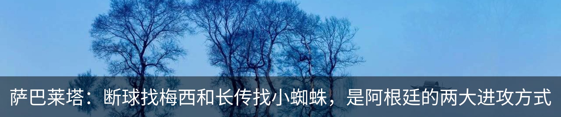 最新动态