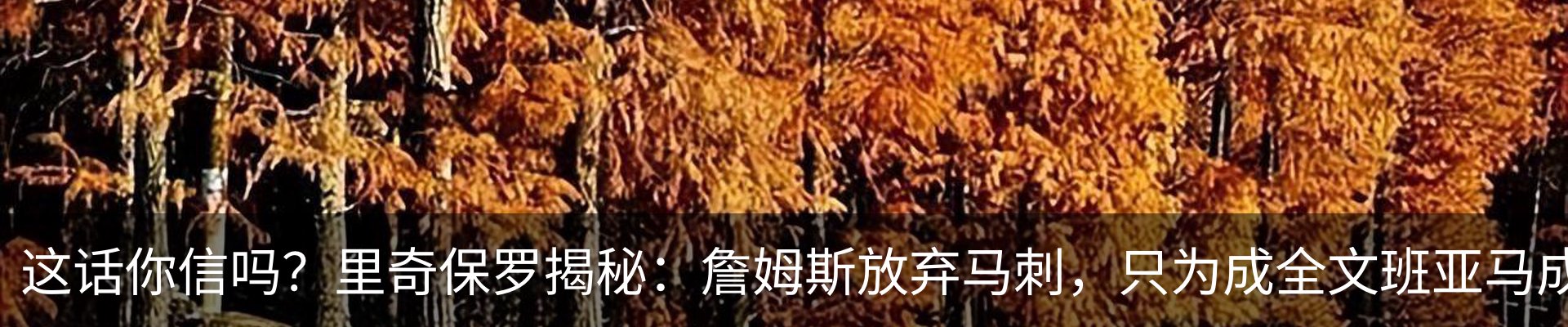 最新动态