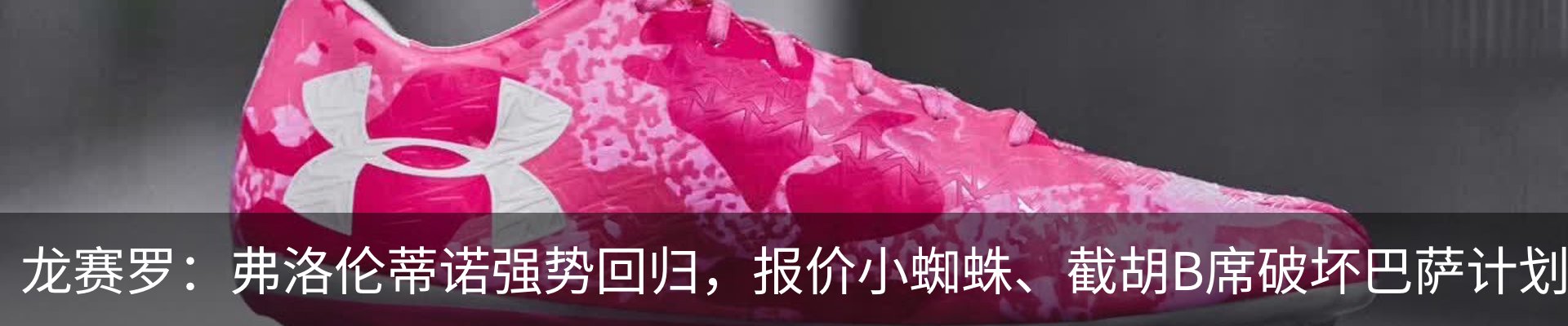 最新动态