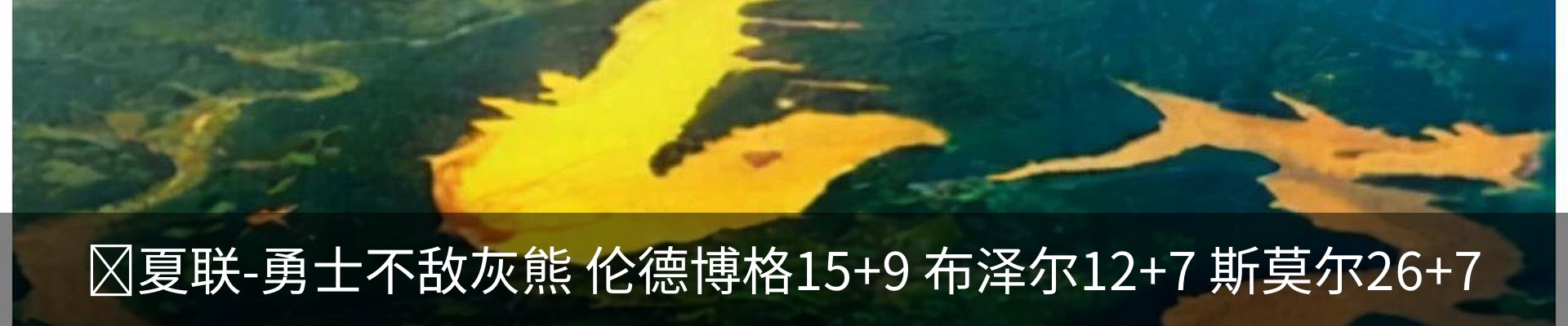 最新动态