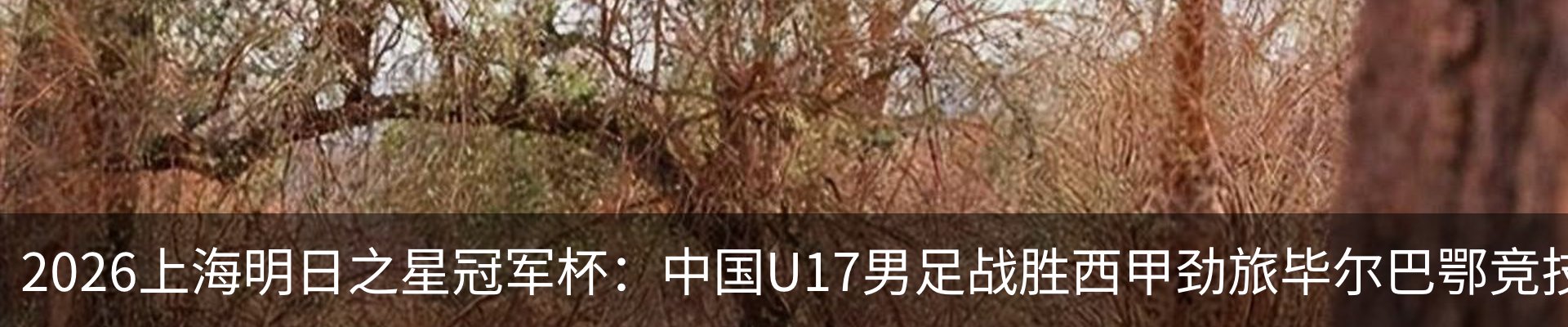 最新动态