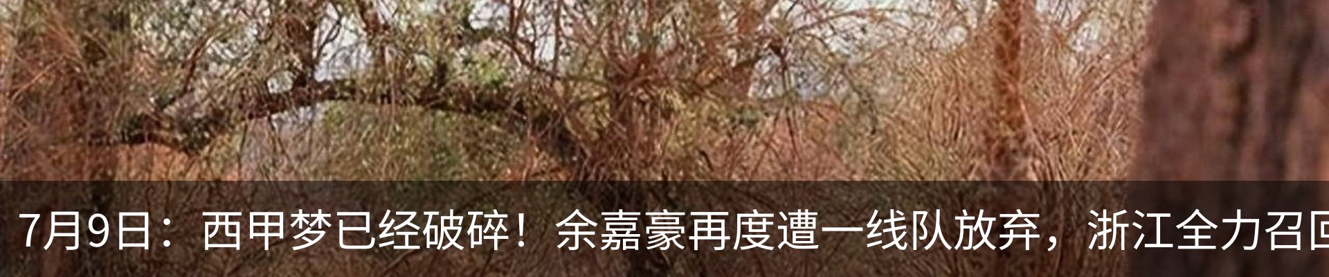 最新动态