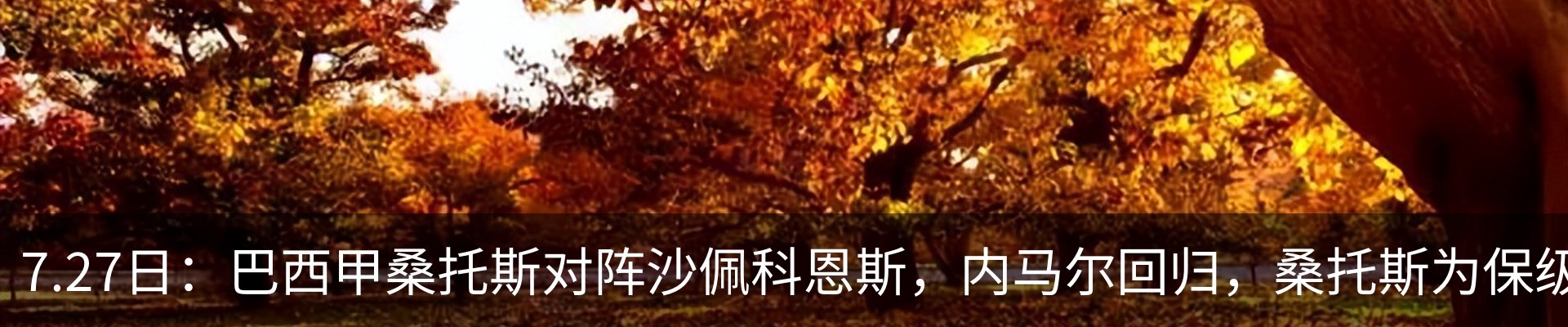 最新动态